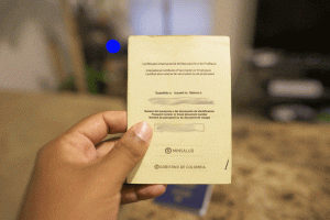 Yellow Fever Vaccination Card is one of the Items you should pack when visiting Brazil