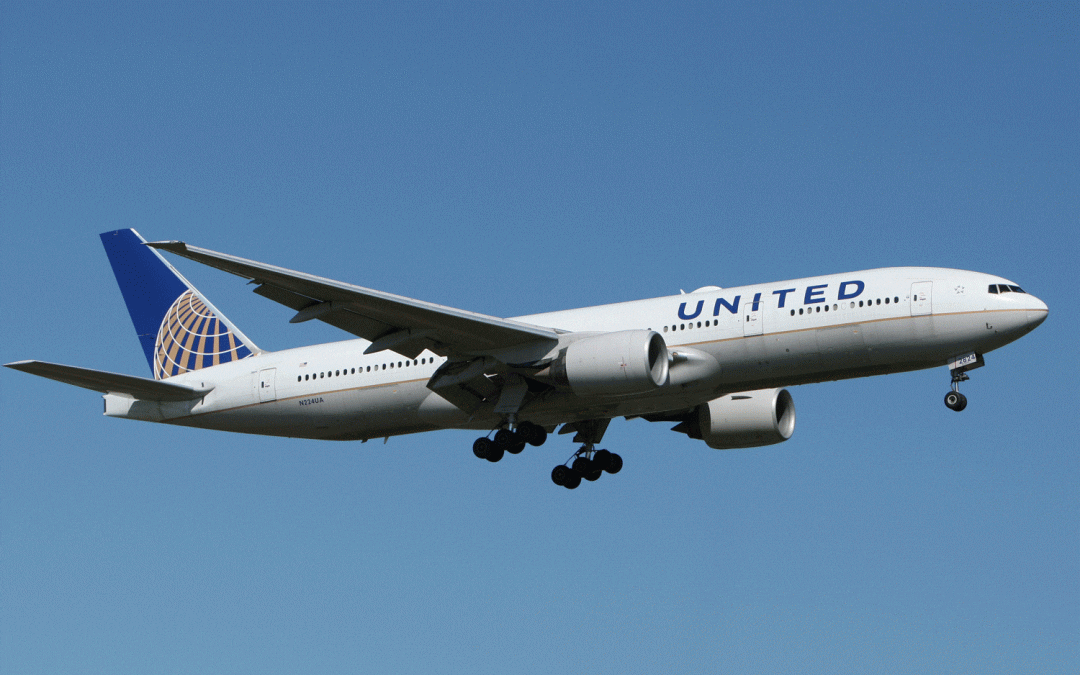 Did you know about United Airlines Lifetime Pass?